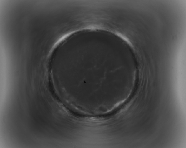 X0000085221311200703301655