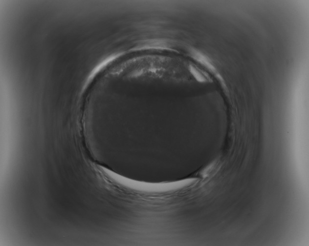 X0000085221312200703301655