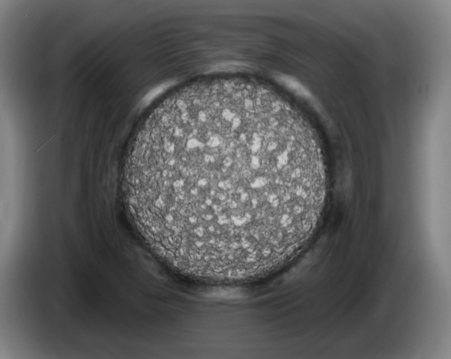 X0000085221313200703301655