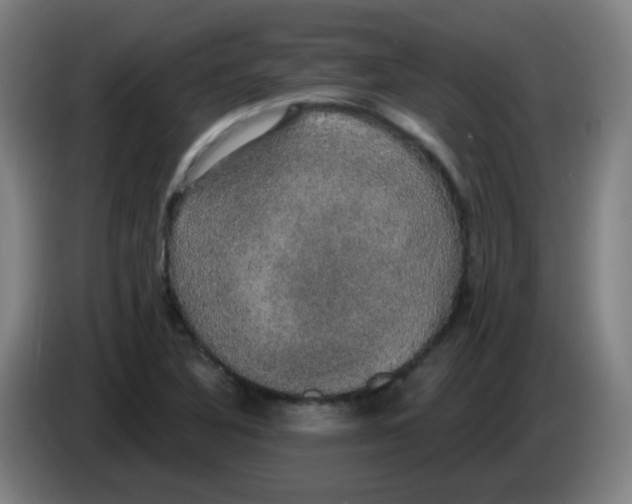 X0000085221316200703301655