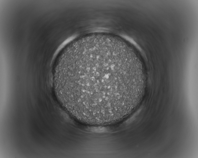 X0000085221317200703301655