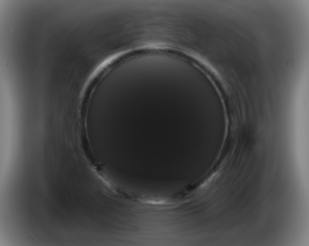 X0000085221319200703301655