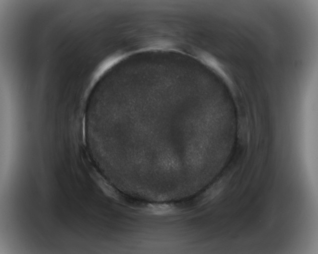 X0000085221320200703301655