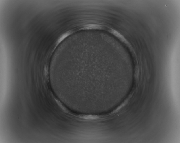 X0000085221321200703301655