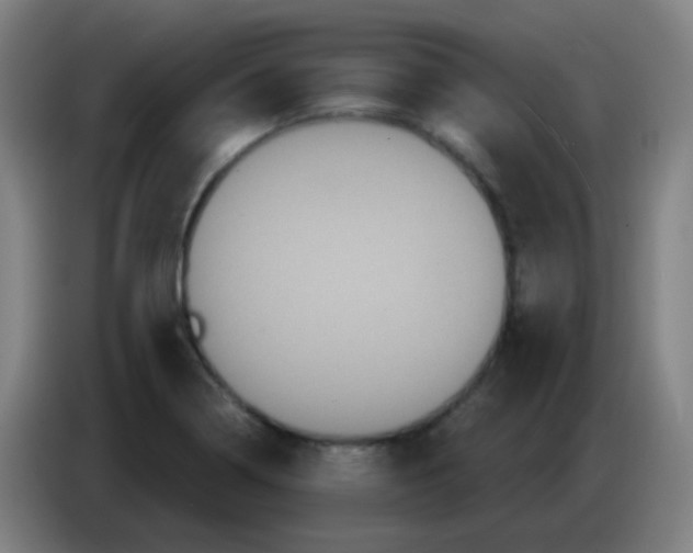 X0000085221322200703301655