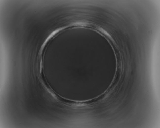 X0000085221323200703301655