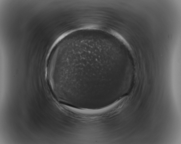 X0000085221324200703301655