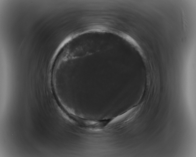 X0000085221326200703301655