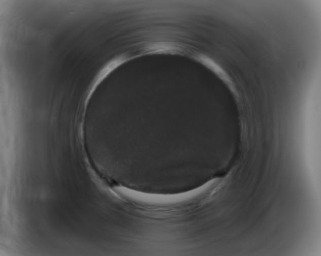 X0000085221330200703301655