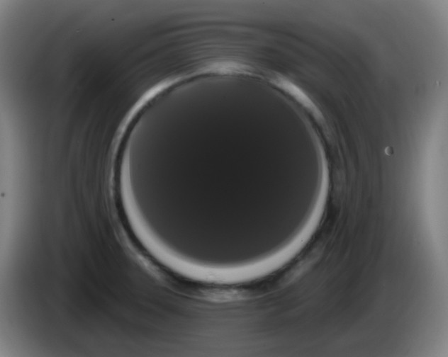 X0000085221331200703301655