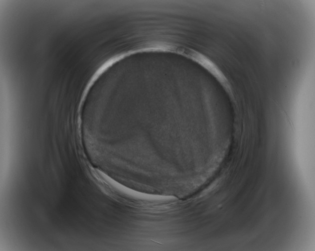 X0000085221332200703301655