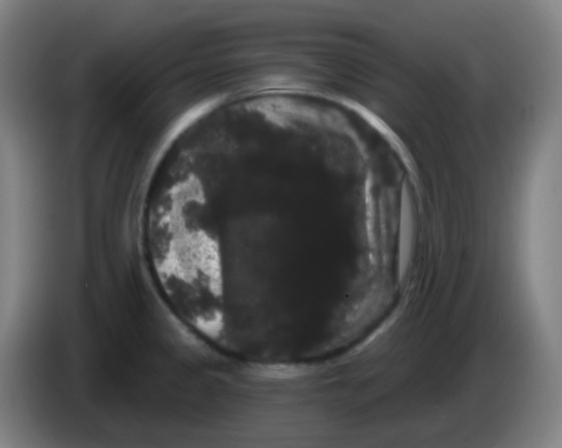X0000085221333200703301655