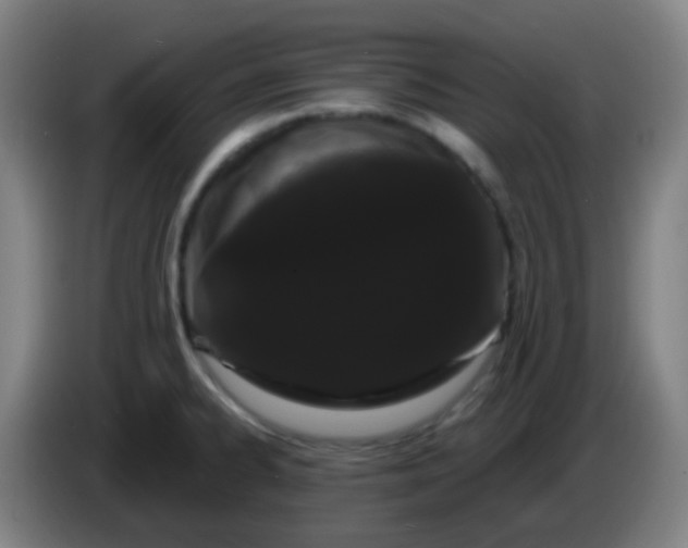 X0000085221334200703301655