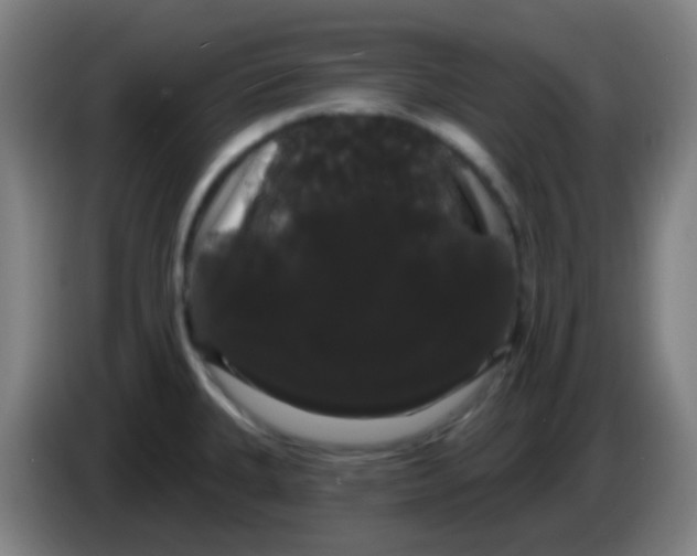 X0000085221335200703301655