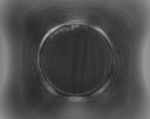 X0000085221336200703301655