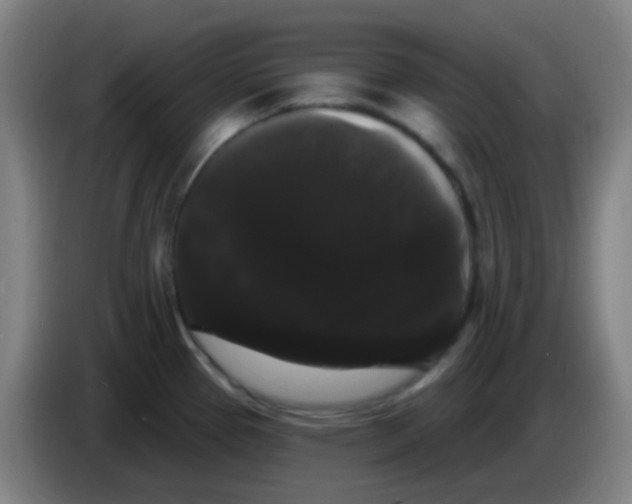 X0000085221337200703301655