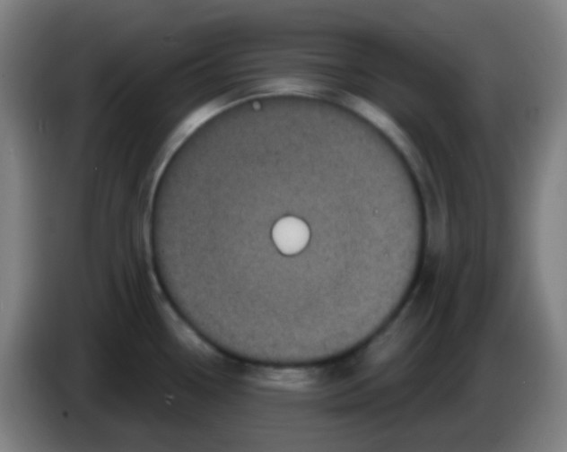 X0000085221338200703301655