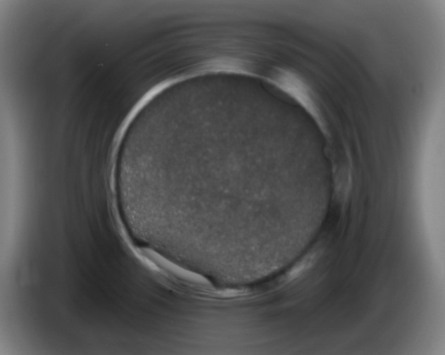 X0000085221339200703301655