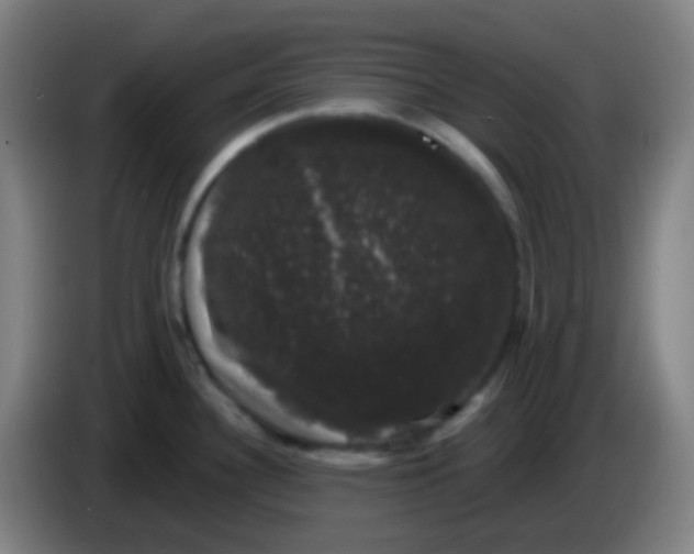 X0000085221340200703301655