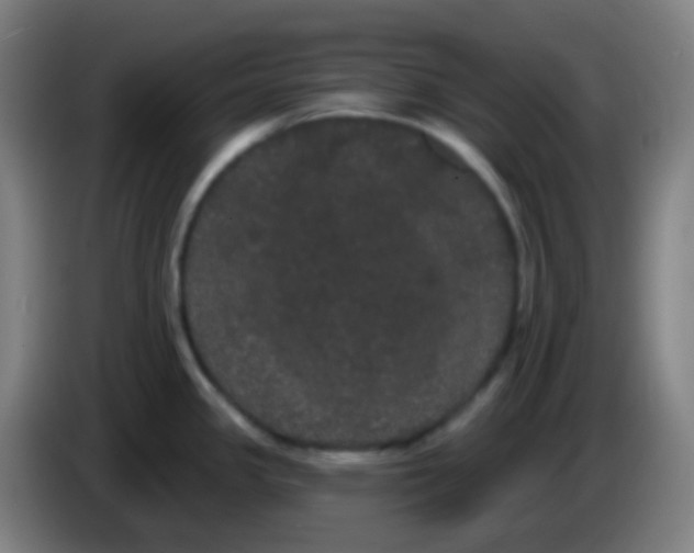 X0000085221341200703301655