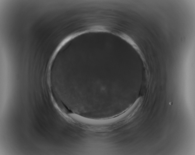 X0000085221342200703301655