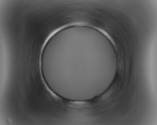 X0000085221343200703301655