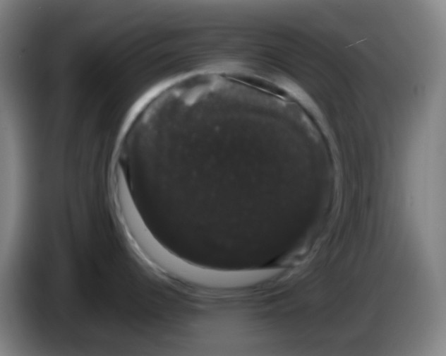 X0000085221344200703301655