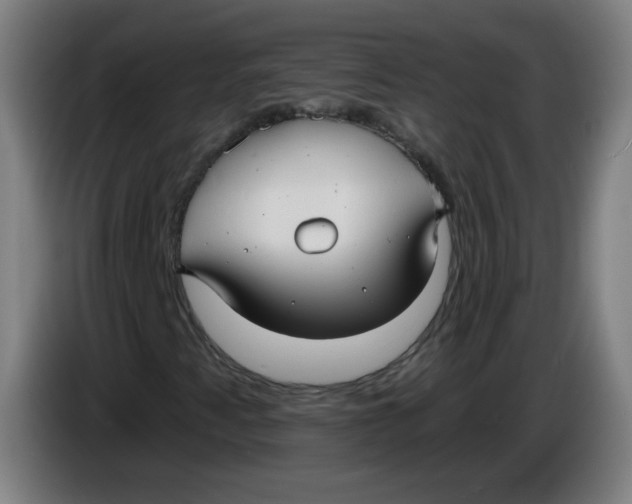 X0000085221345200703301654
