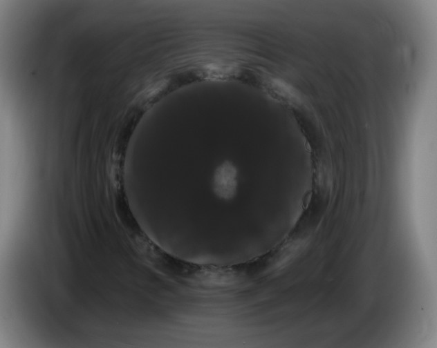 X0000085221346200703301654