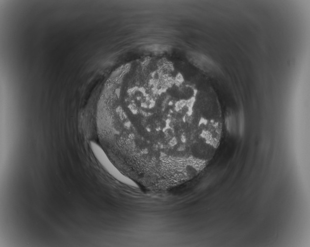 X0000085221347200703301654