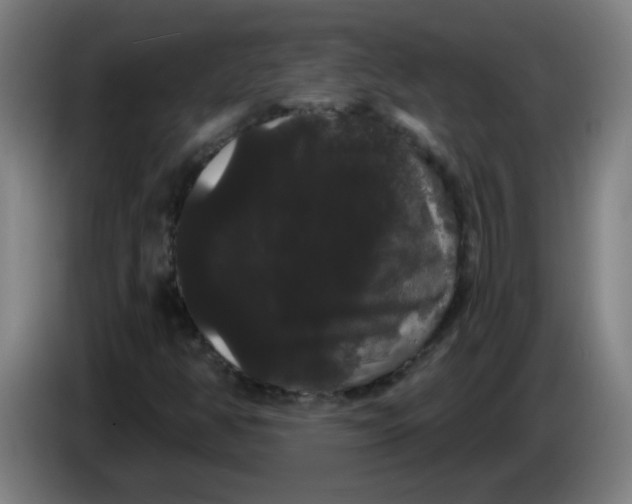 X0000085221350200703301654