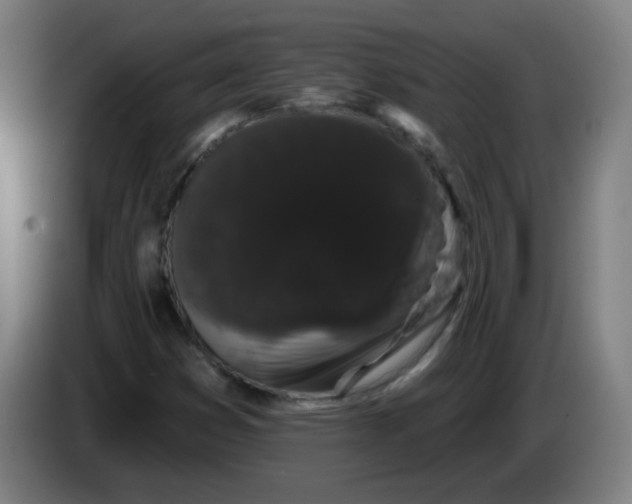 X0000085221353200703301654