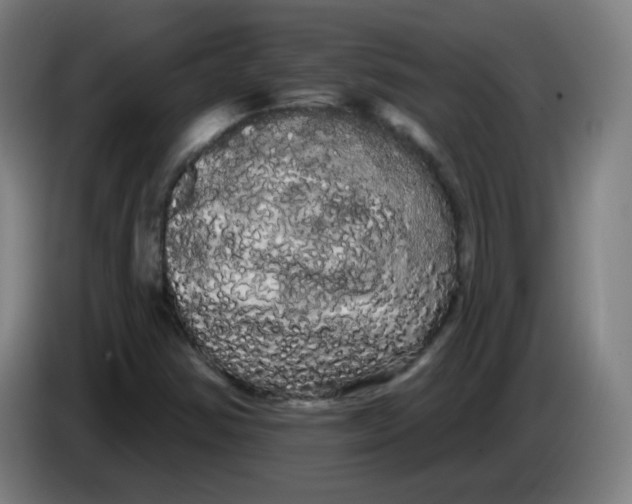 X0000085221354200703301654