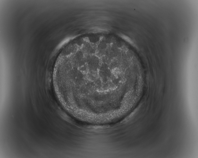 X0000085221355200703301654
