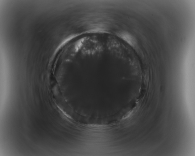 X0000085221356200703301654
