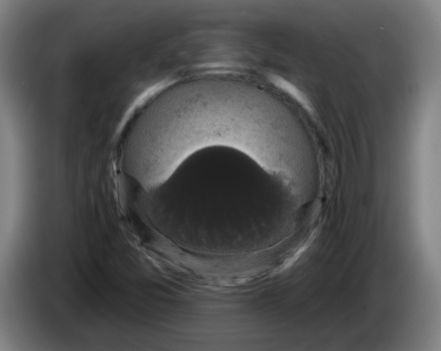 X0000085221357200703301654