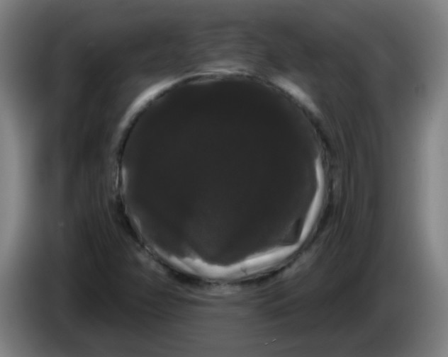 X0000085221358200703301654