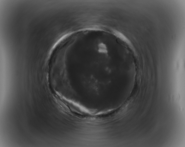 X0000085221360200703301654