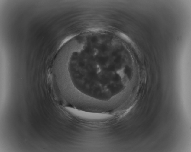 X0000085221361200703301654