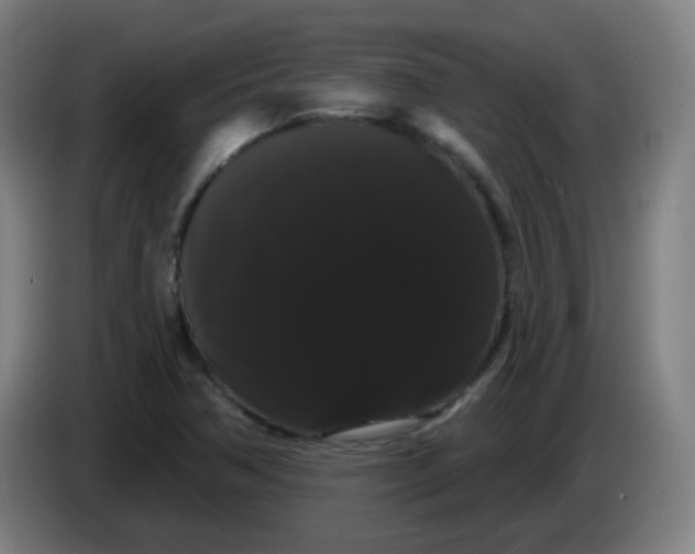 X0000085221362200703301654