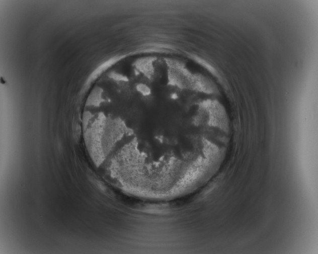 X0000085221363200703301654