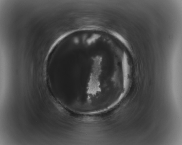 X0000085221364200703301654