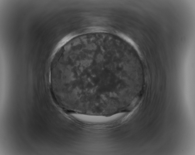 X0000085221365200703301654