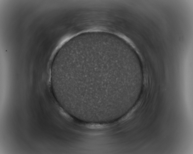 X0000085221366200703301654