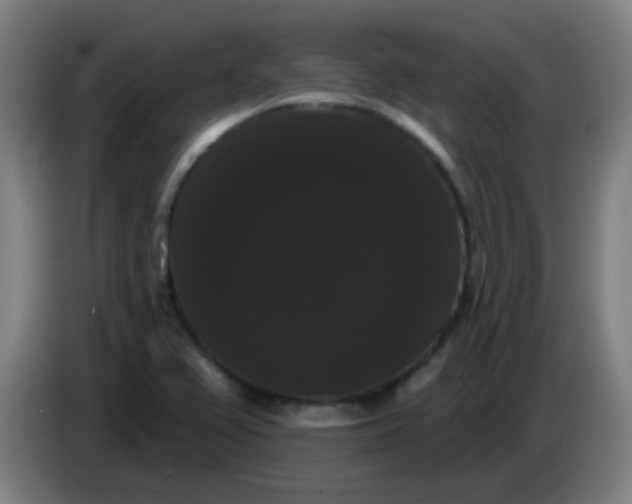 X0000085221367200703301654