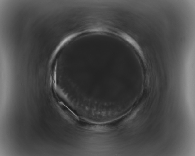 X0000085221368200703301654