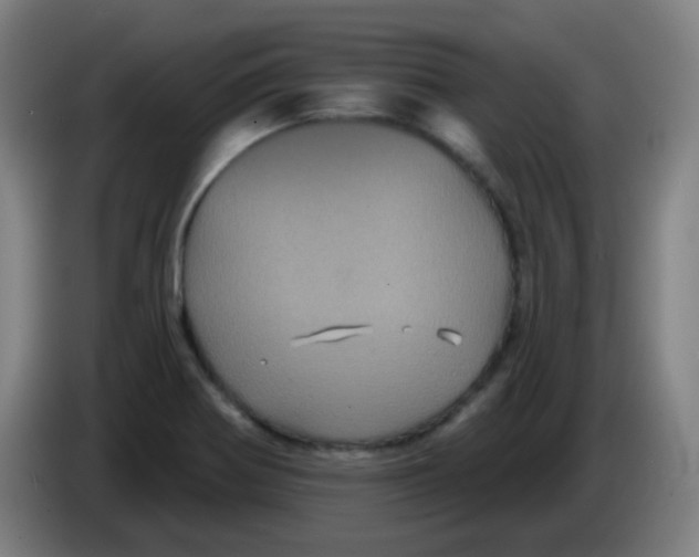 X0000085221370200703301654