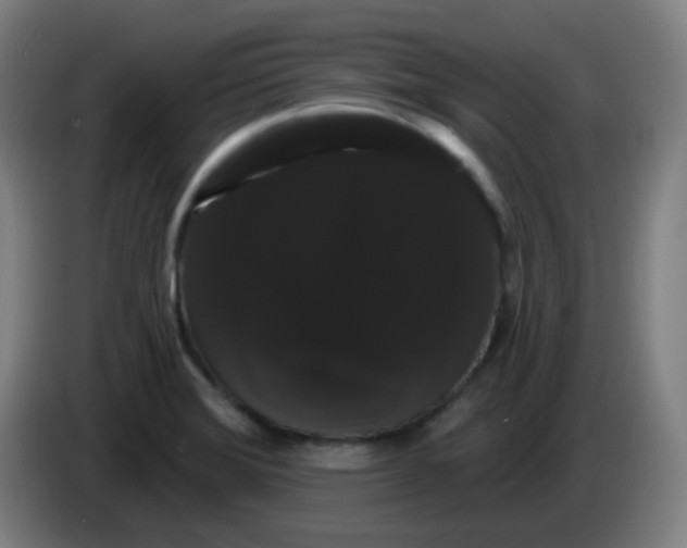 X0000085221372200703301654