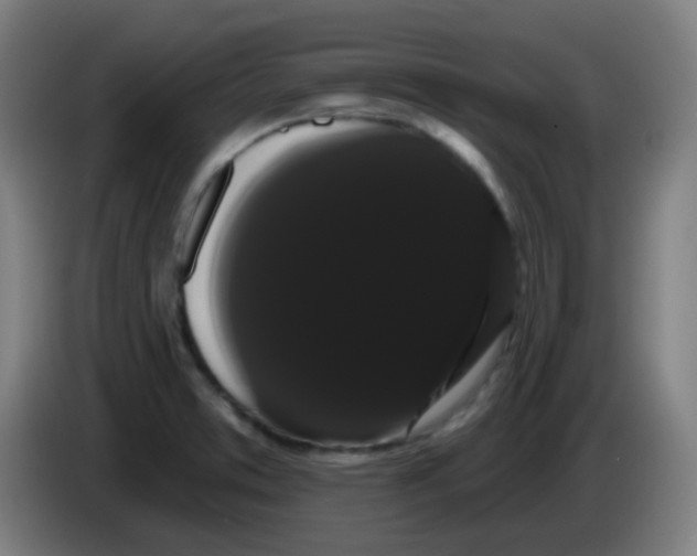 X0000085221373200703301654