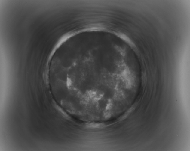 X0000085221374200703301654
